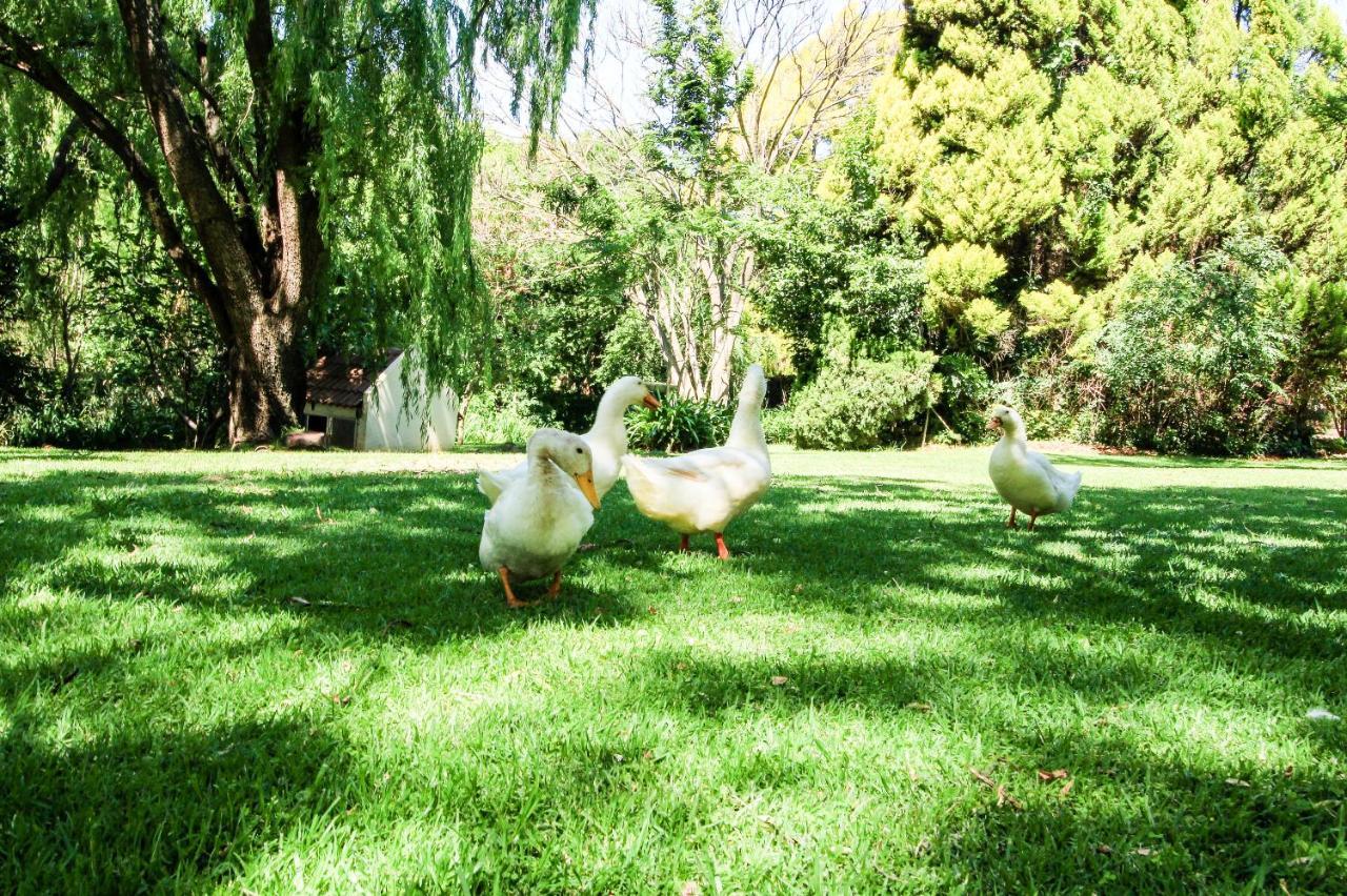 Budmarsh Country Lodge Magaliesburg Εξωτερικό φωτογραφία