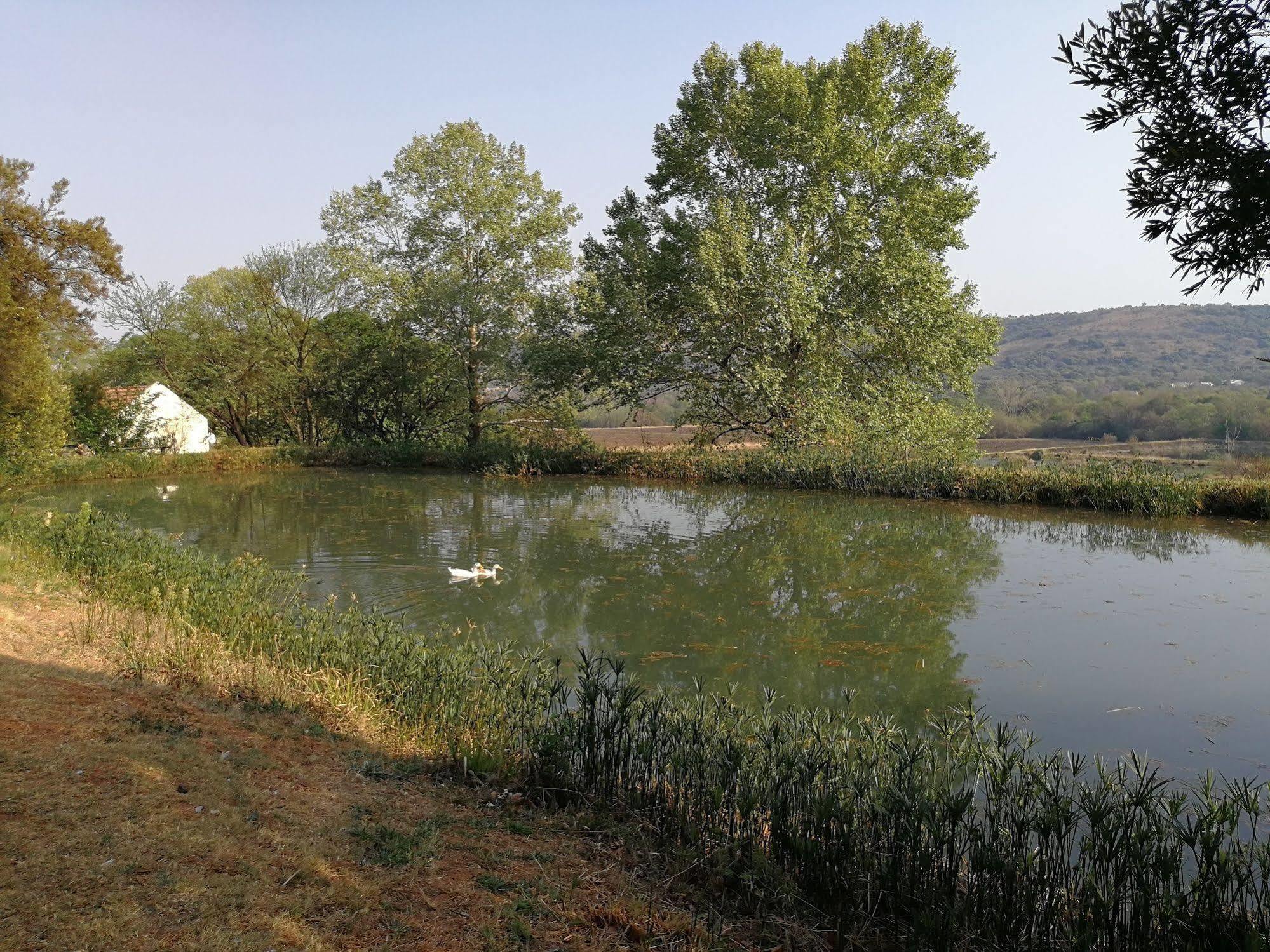 Budmarsh Country Lodge Magaliesburg Εξωτερικό φωτογραφία
